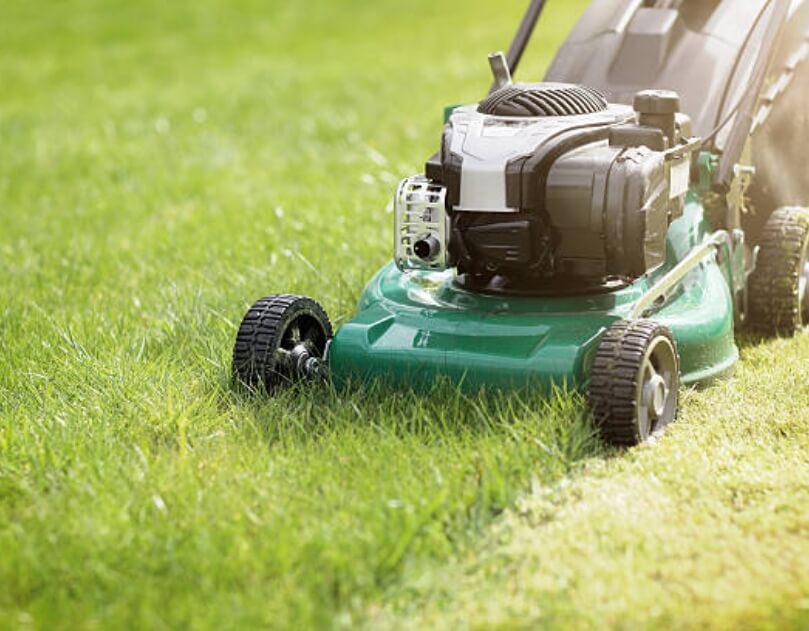Lawns and Garden